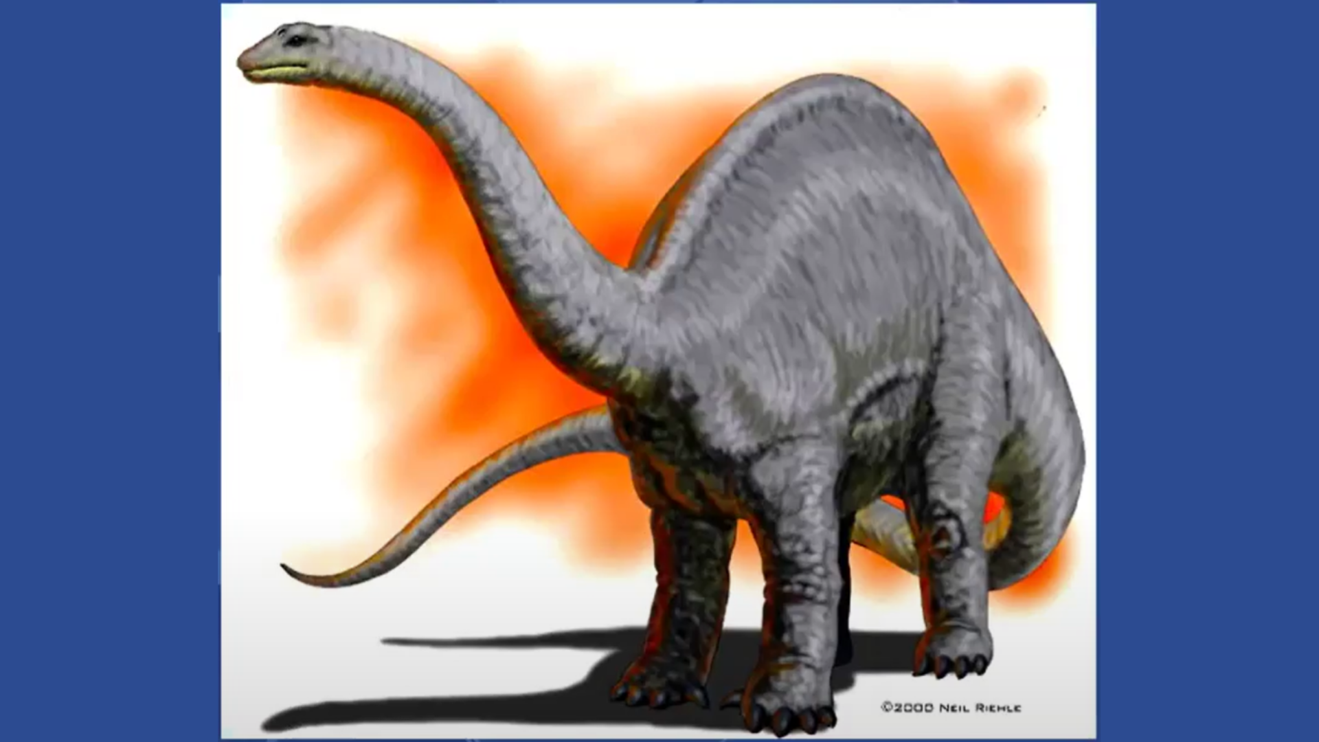 Dinosaurs and the Bible - Professor Steve Taylor