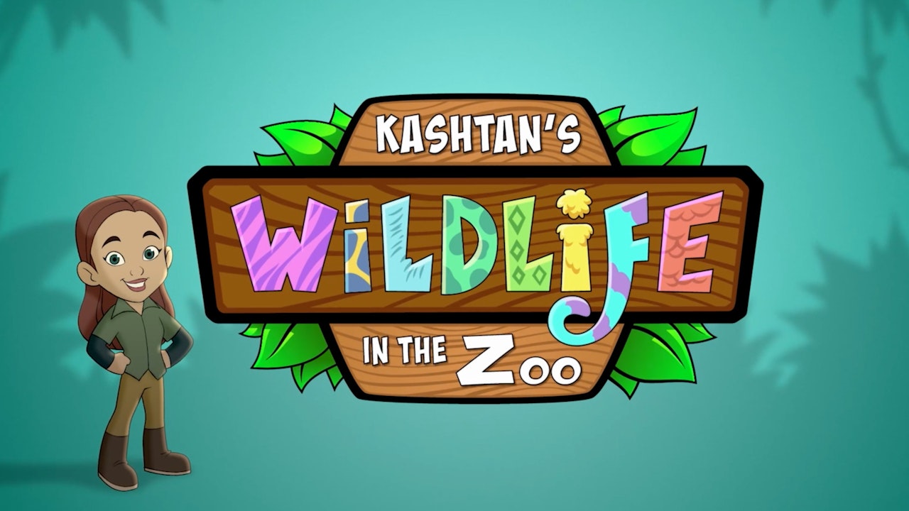 Kashtan's Wildlife in the Zoo