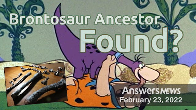 2/23 Brontosaur Ancestor Found?