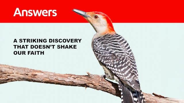 A Striking Discovery (Answers Audio A...