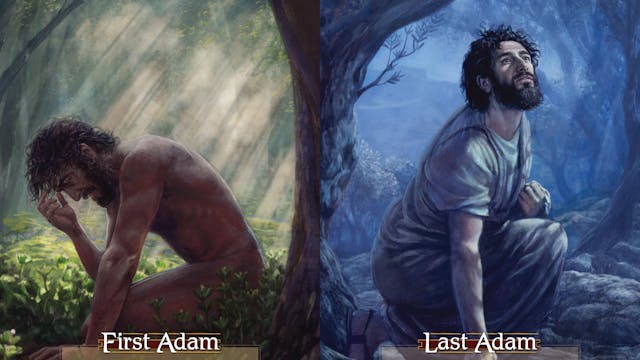 Adam: The First and the Last (2020)
