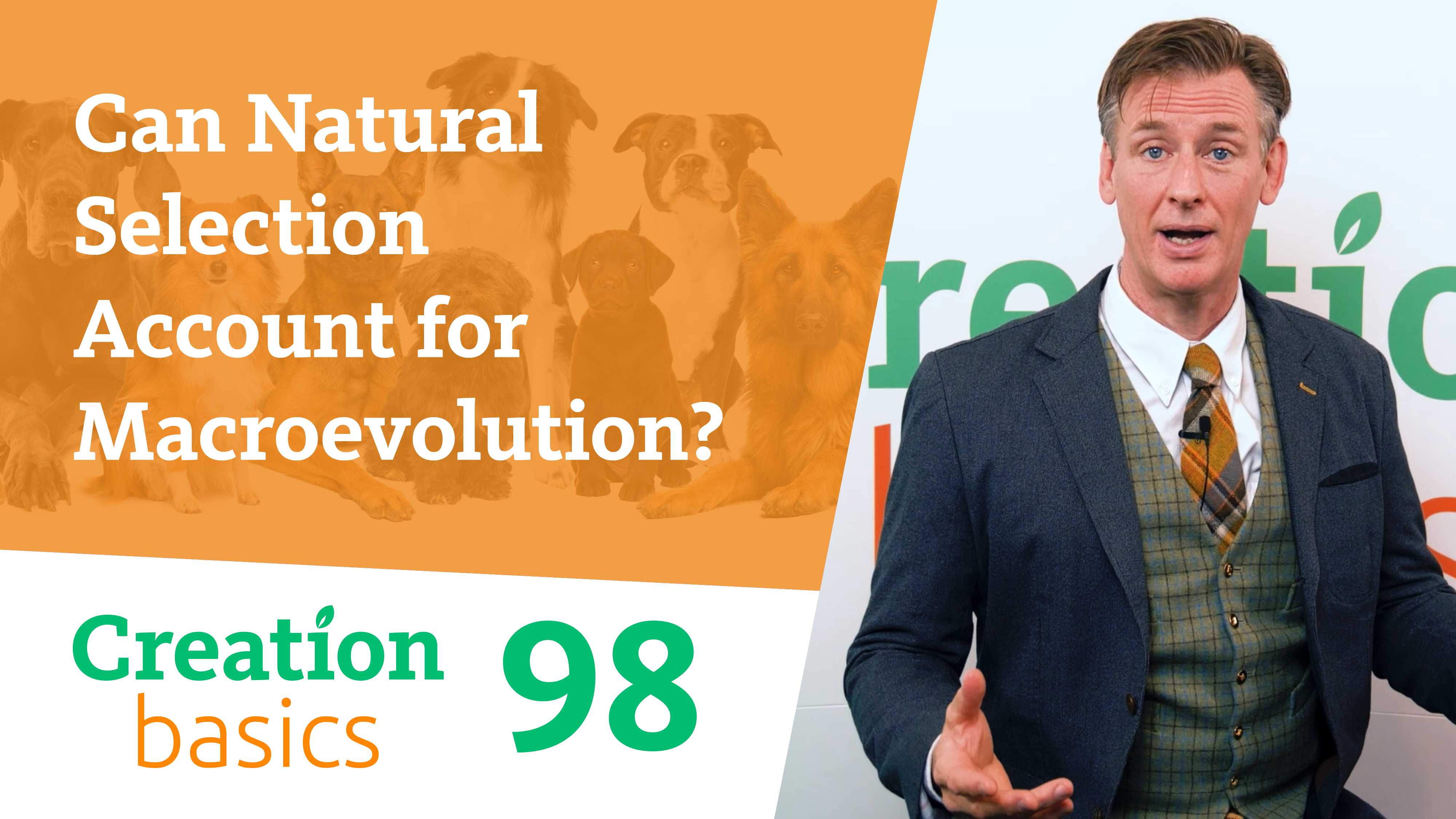 S1E98 Can Natural Selection Account for Macroevolution?