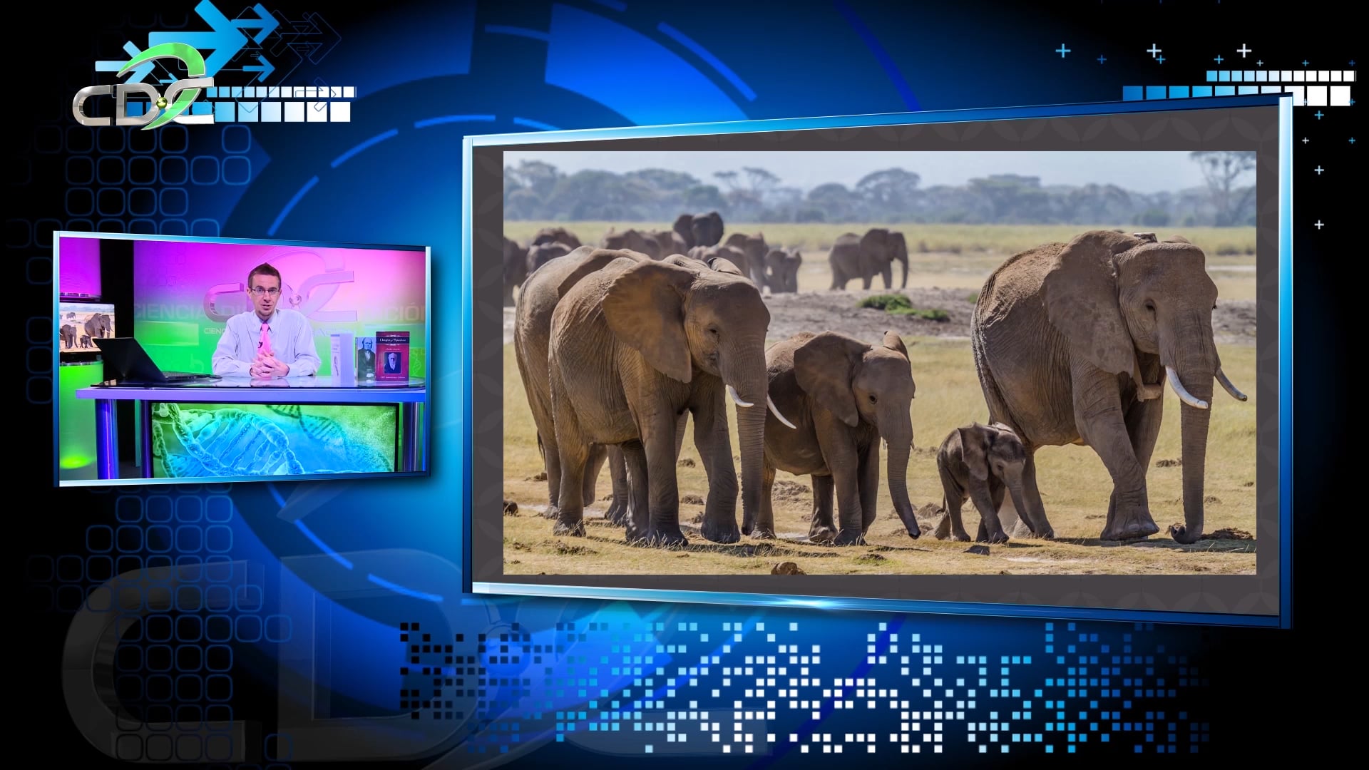 Reemplazando a Darwin Episodio 10