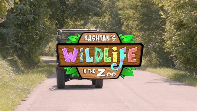Kashtan S3E1 thumbnail video