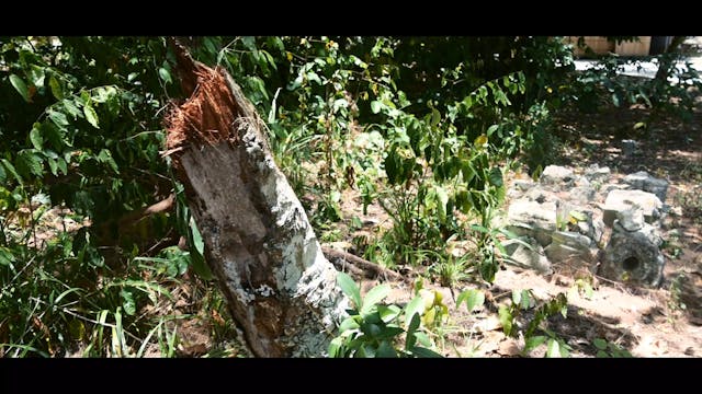 S2E28 When older Brothers Aren't Around