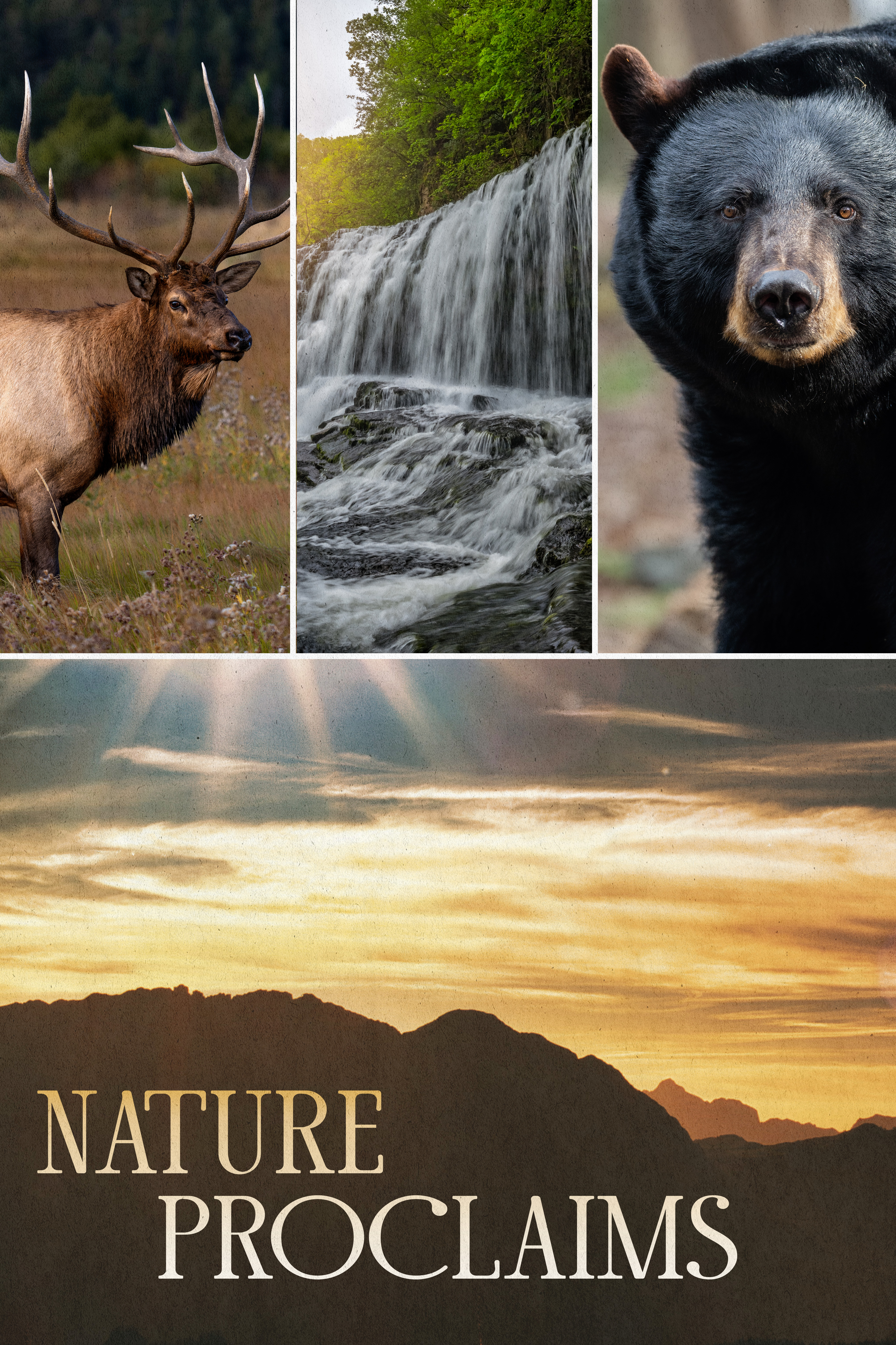 Nature Proclaims