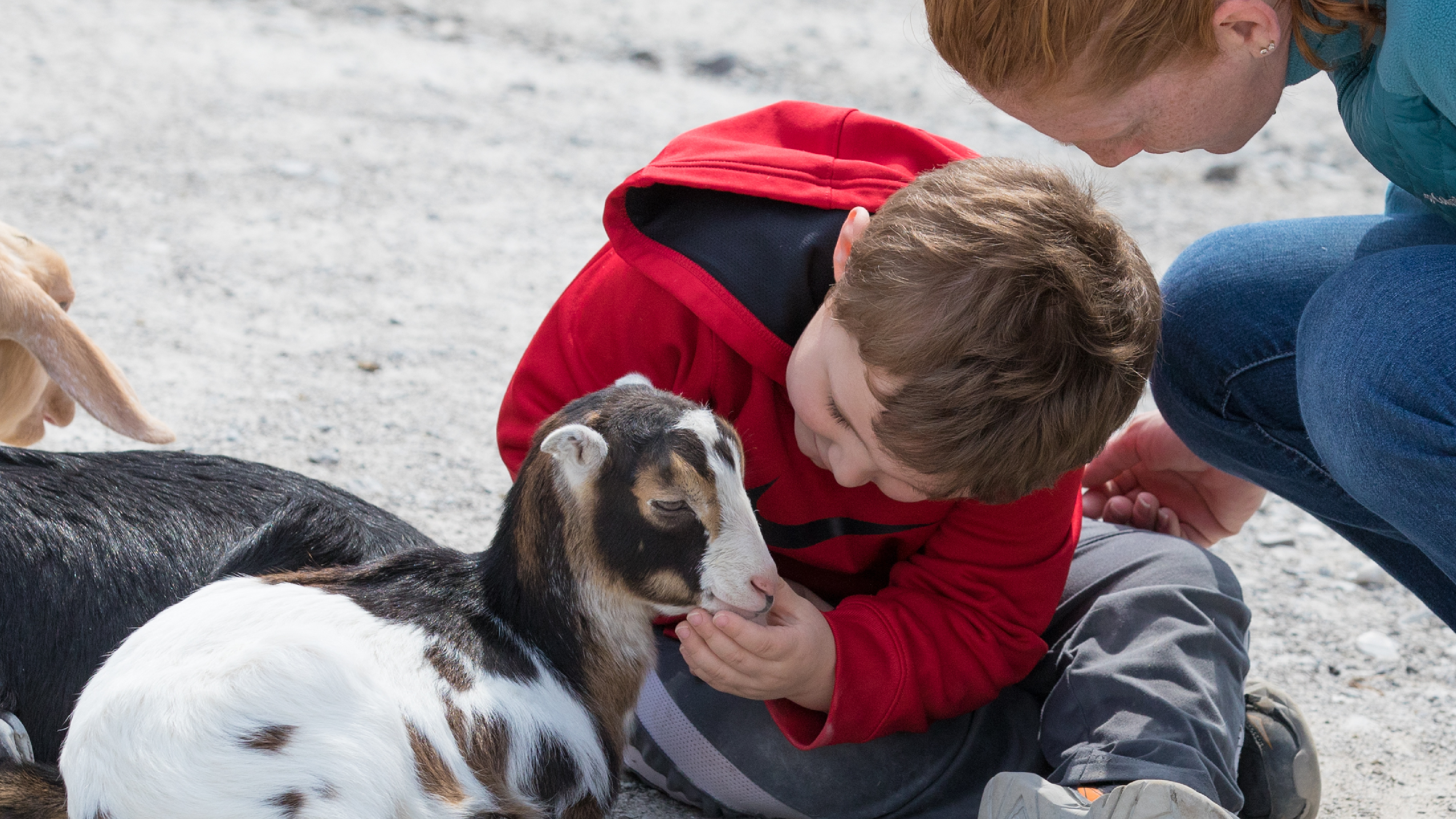 S1E41 World Goat Day 2020