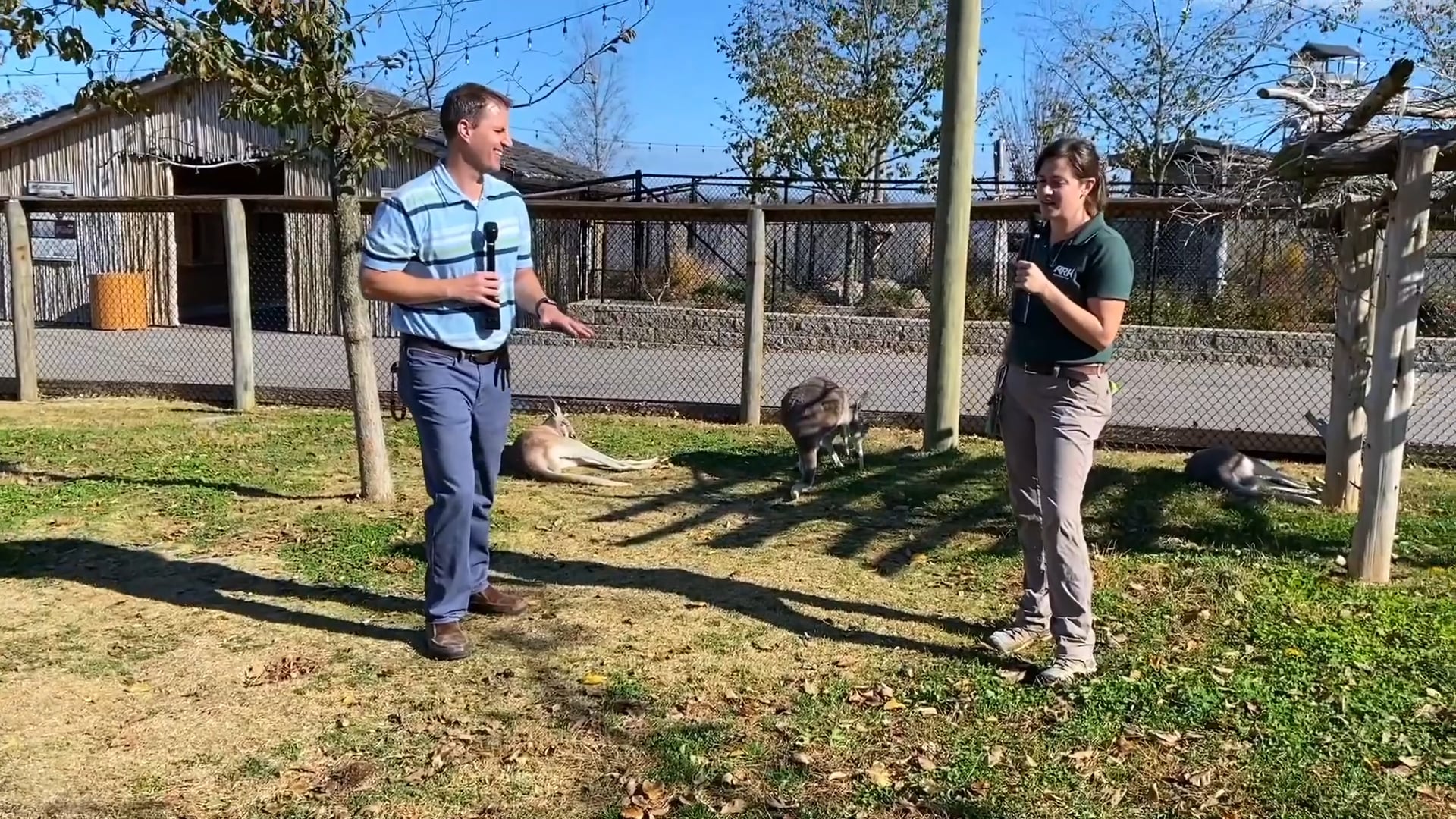 Paul's Early Ministry