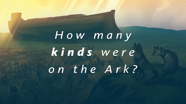 S1E6 The Genesis Account: How many kinds were on the Ark?