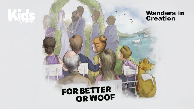 Wanders in Creation: For Better or Woof (Kids Answers Audio Article)