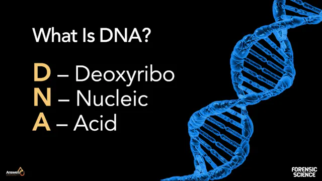 S1E6 Forensic DNA Fingerprinting Part 1
