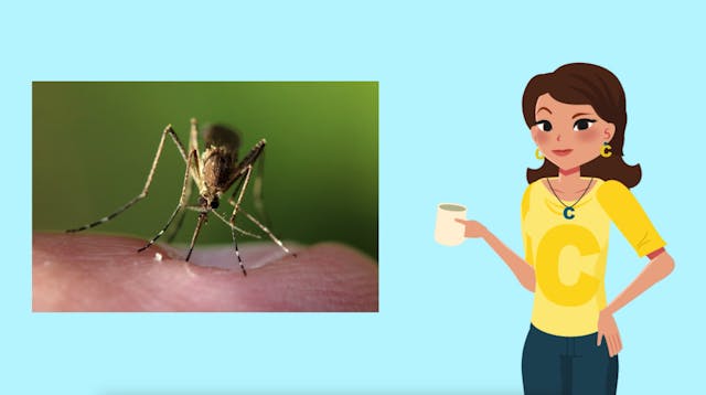 05 The Corruption Event