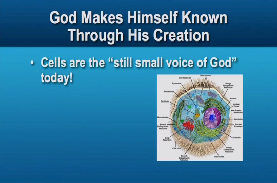 Wonder of the Cell (Excerpt)