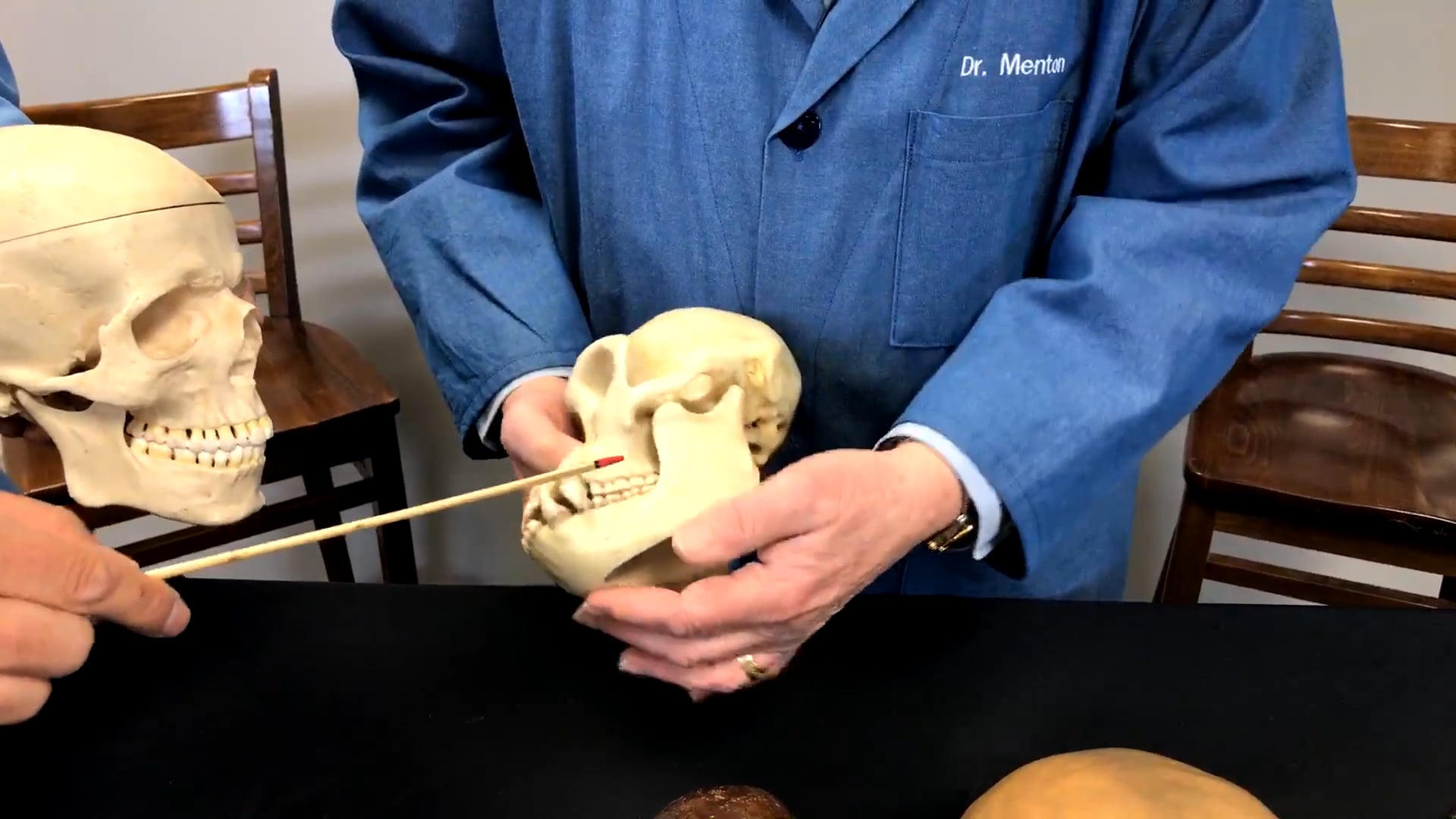 S1E26 Lab: Making an Apeman