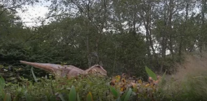 Meet Rexy at the Creation Museum