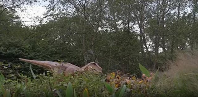 Meet Rexy at the Creation Museum