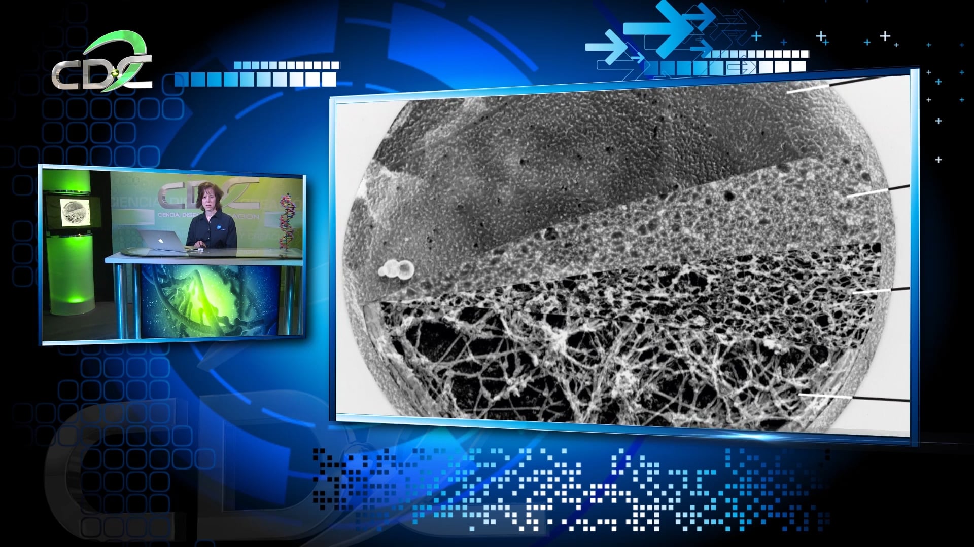 Genética y la Biblia Episodio 11: Las maravillas de la célula Pt 3