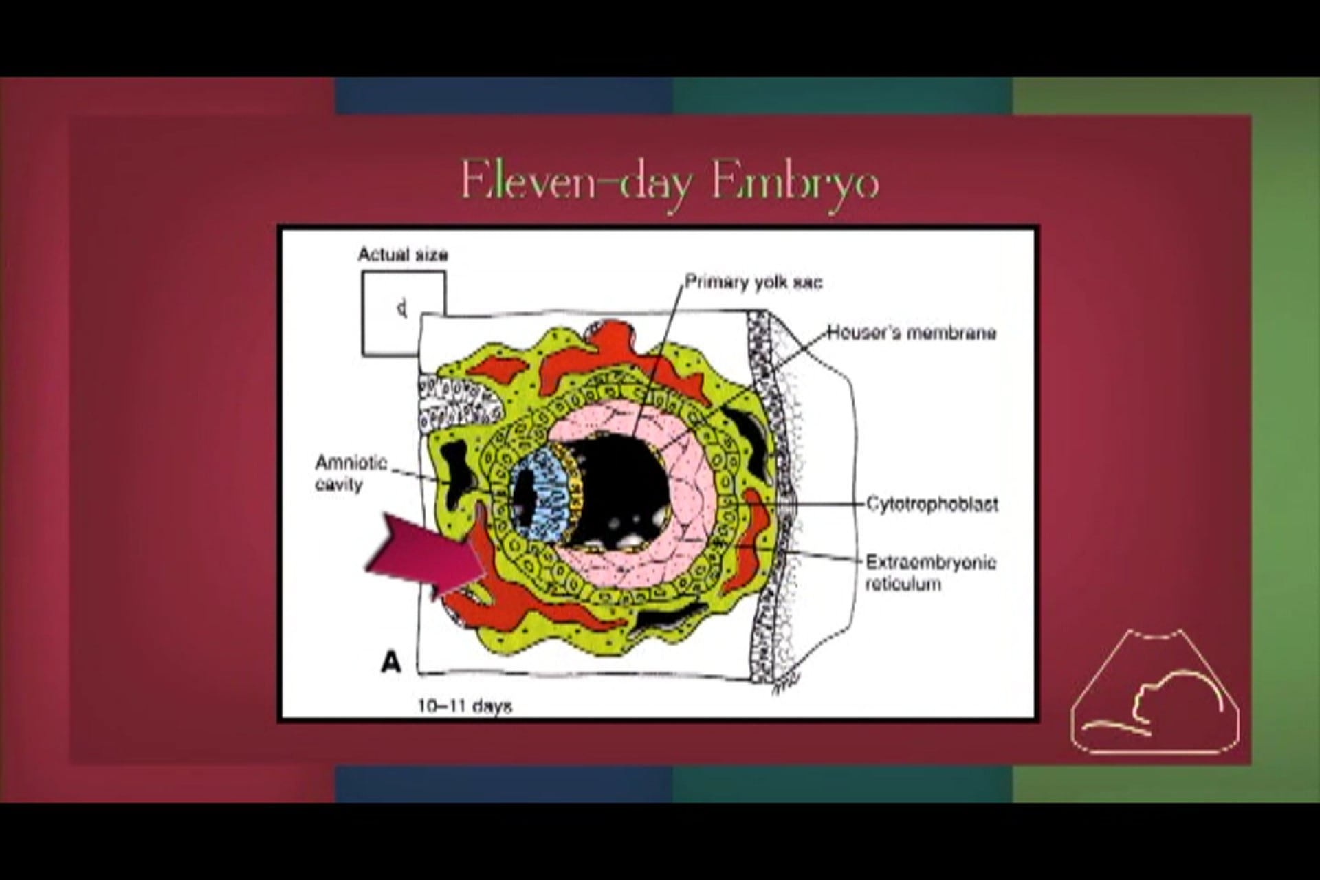 Fearfully & Wonderfully Made 2 (2015)