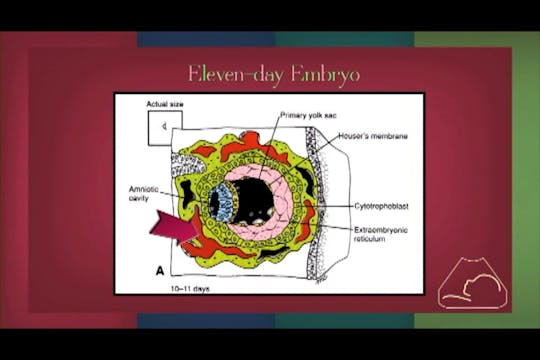 Fearfully & Wonderfully Made 2 (2015)