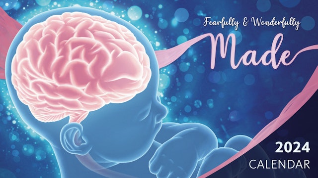 Fearfully and Wonderfully Made Calendar 2024