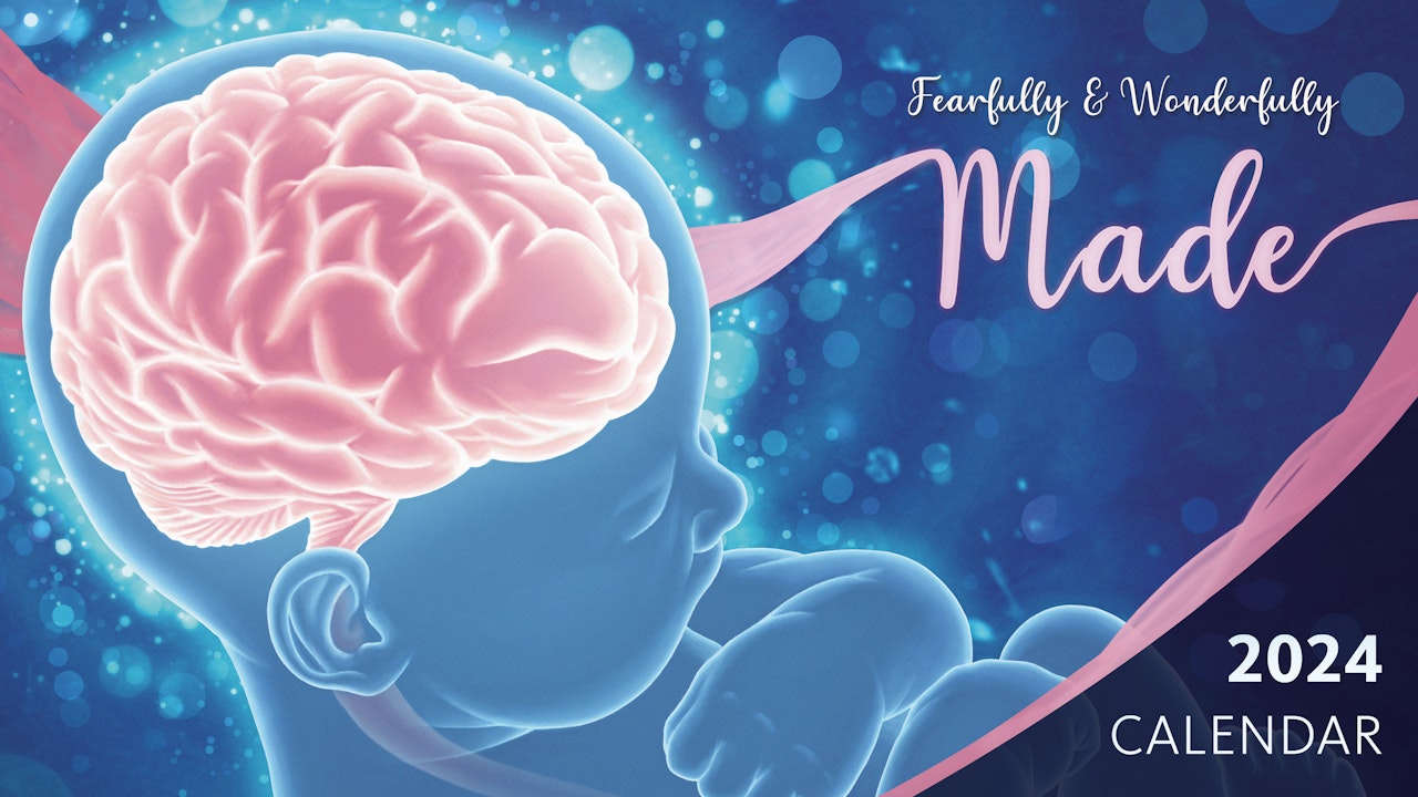 Fearfully and Wonderfully Made Calendar 2024