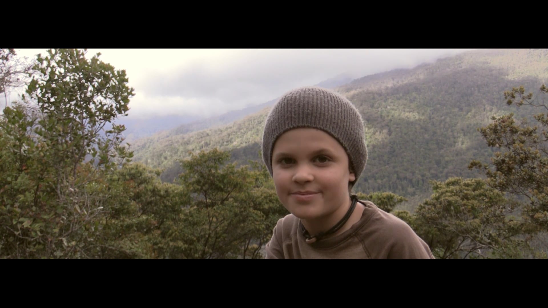 Extra: Phasmid Hunting