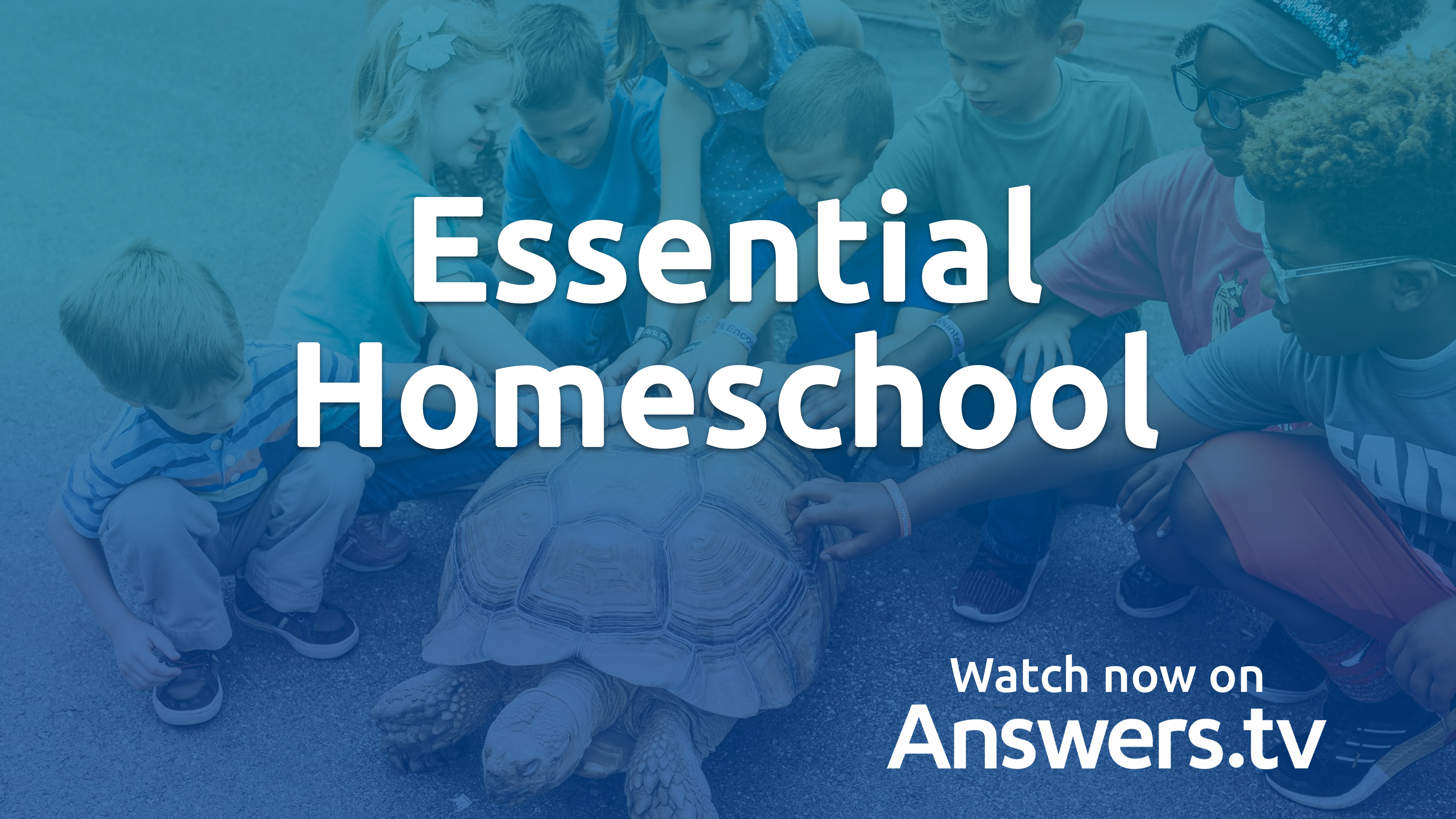 Essential Homeschool