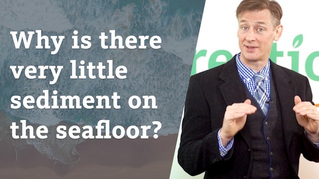 Why is there very little sediment on the seafloor?