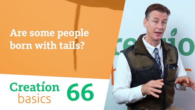 S1E66 Are some people born with tails?