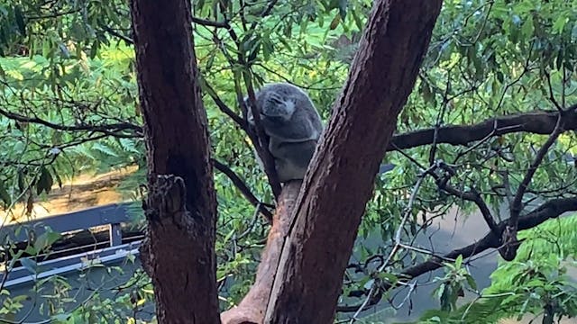 Jonathan Warns David