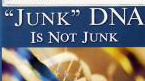 “Junk” DNA Is Not “Junk”