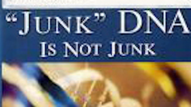 “Junk” DNA Is Not “Junk”