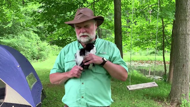 S1E4 out and About: Grosbeaks and Skunks