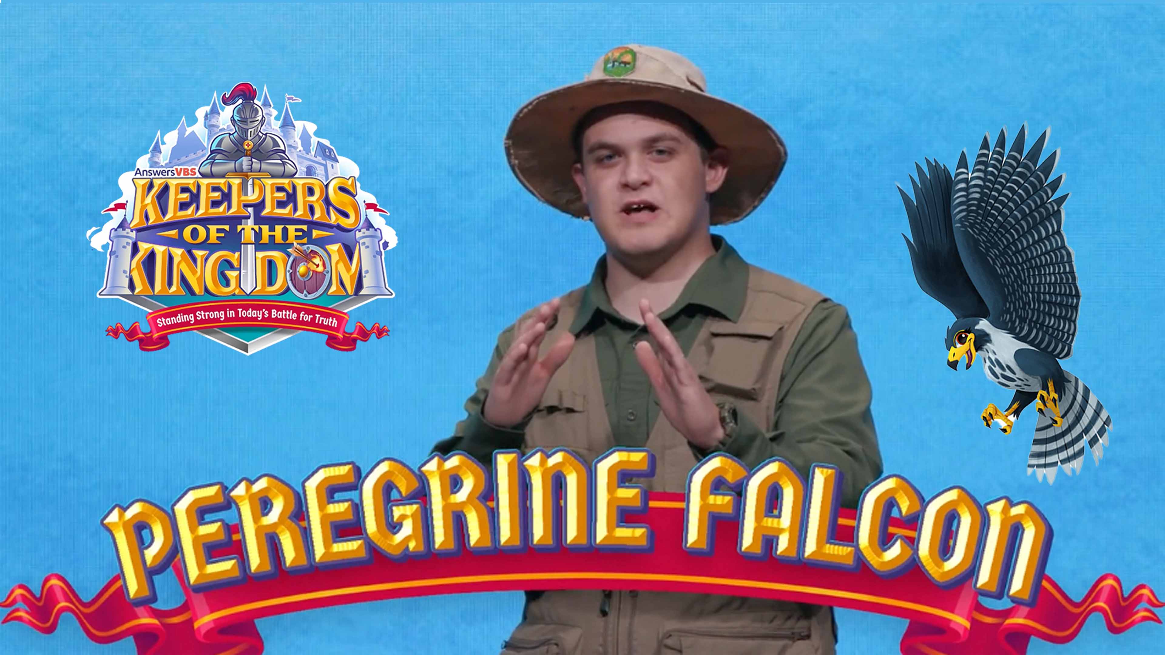 Keepers of the Kingdom Creature Feature Day 5 - Falcon