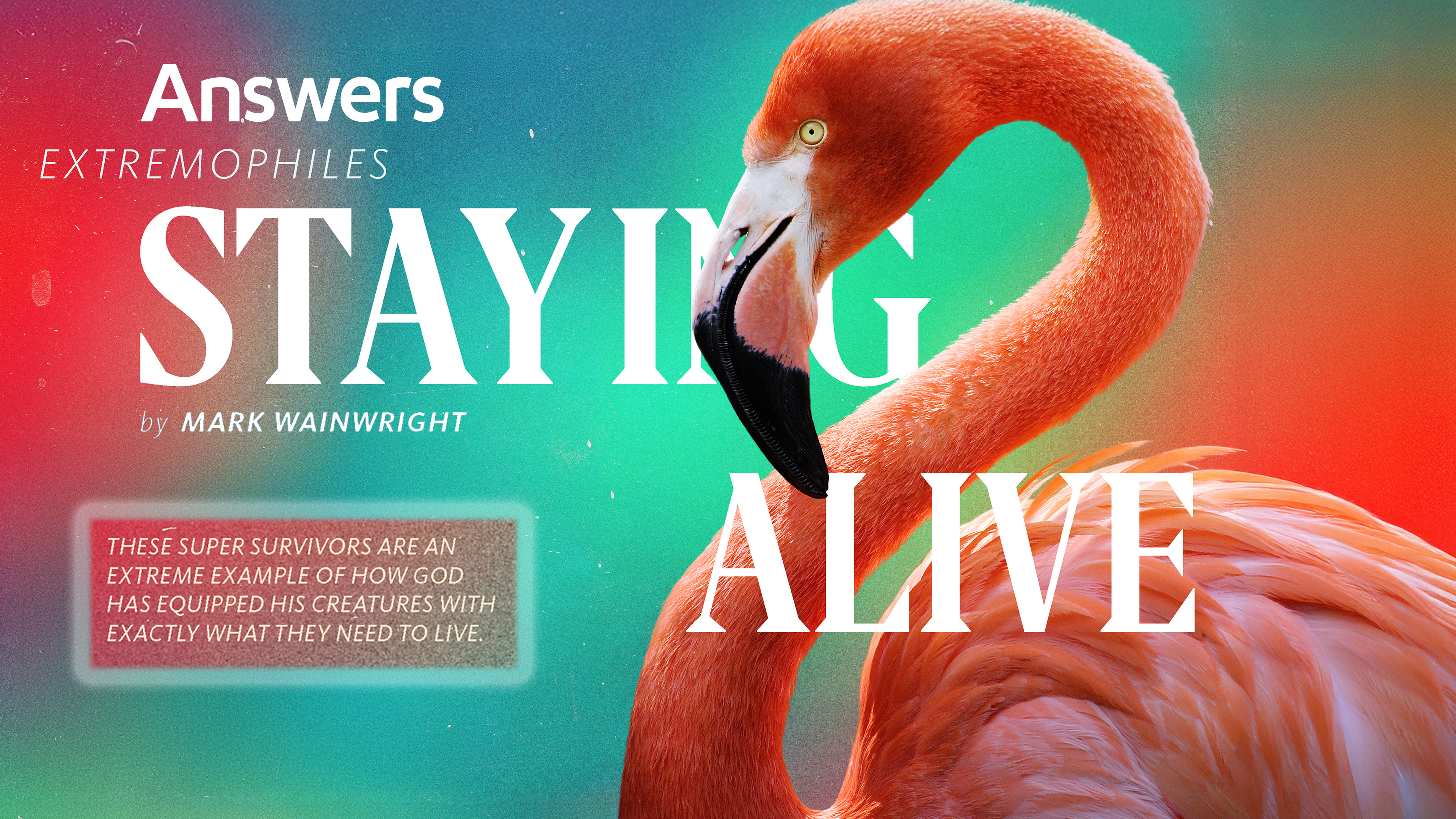 Extremophiles: Staying Alive (Answers Audio Article)