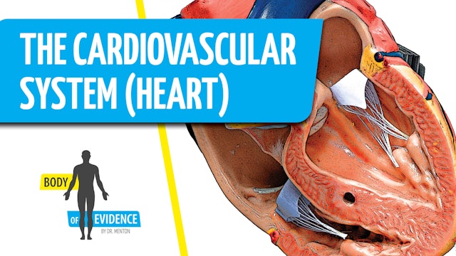 Cardiovascular System (Heart) 1