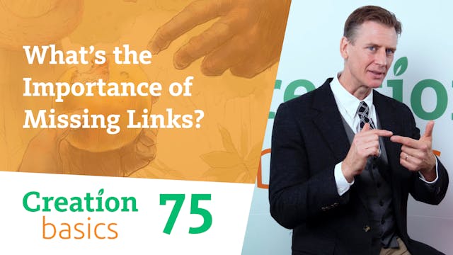 What’s the Importance of Missing Links?