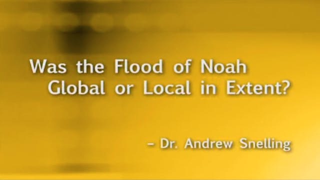 Was the Flood of Noah Global or Local...