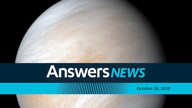 10/26 Venus Headlines