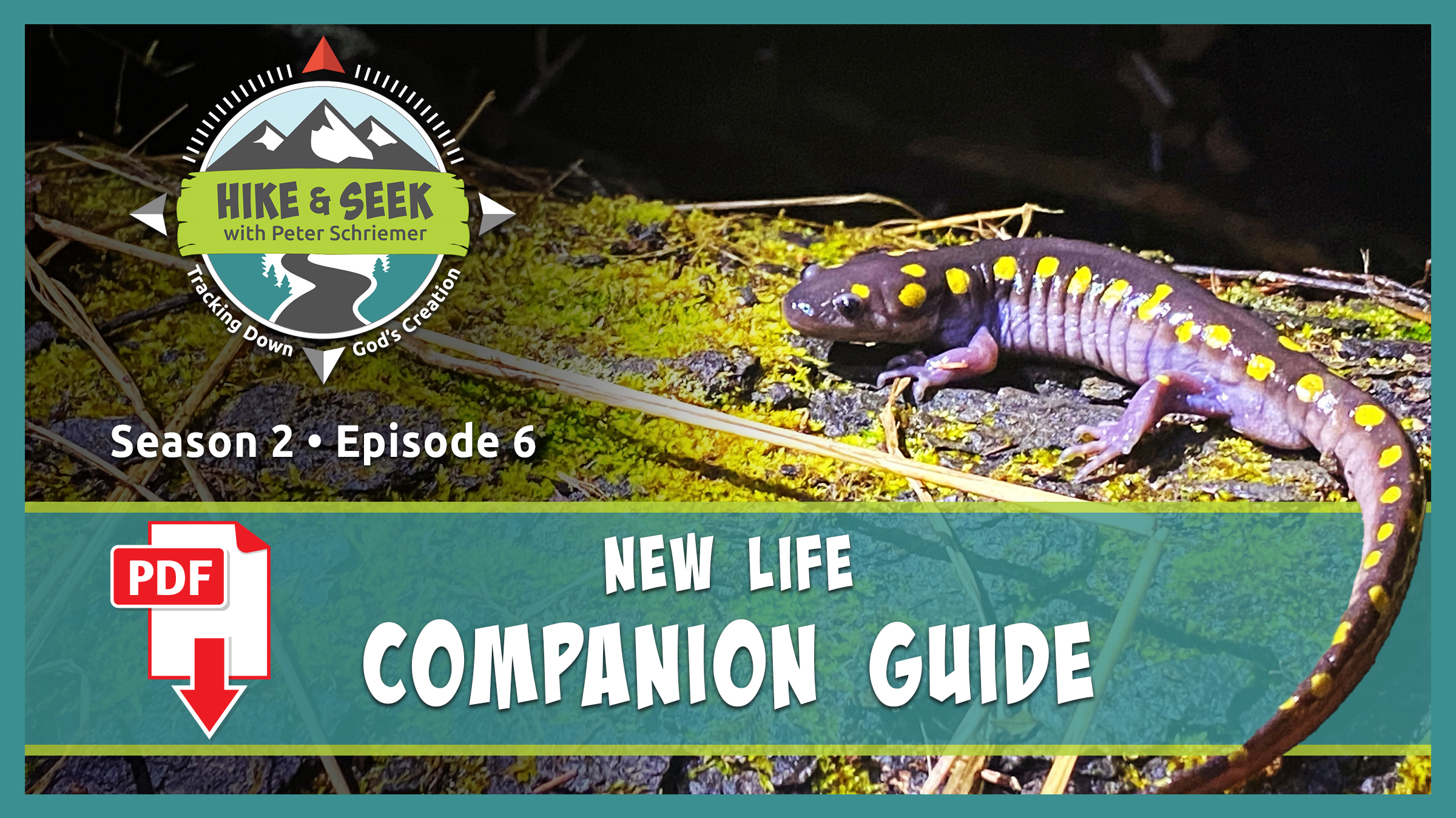 S2E6 New Life [Companion Guide]