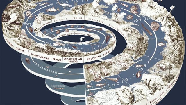 Hinduism and Evolution ‚- An Introduc...