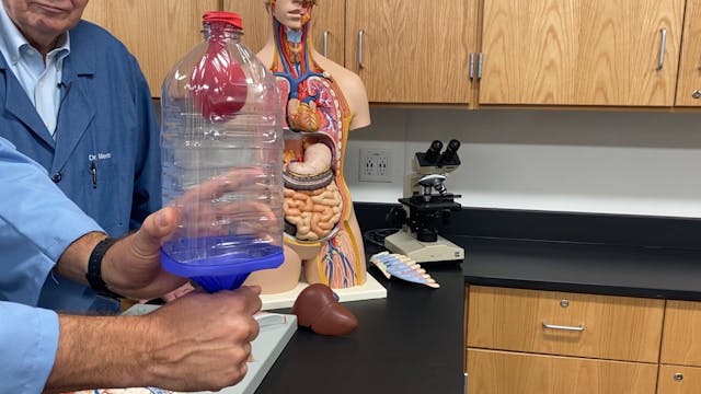 S2E30 Hands on: Lung Capacity