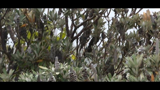 S3E2 Flashback to oz