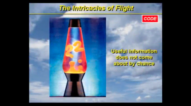 Intricacies of Flight, Part 4