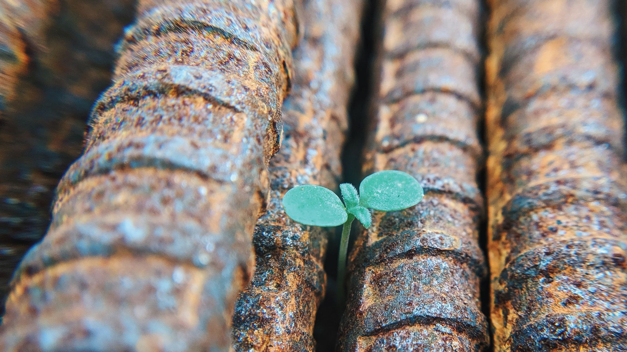 Could Life Evolve by Chance? Science Says No