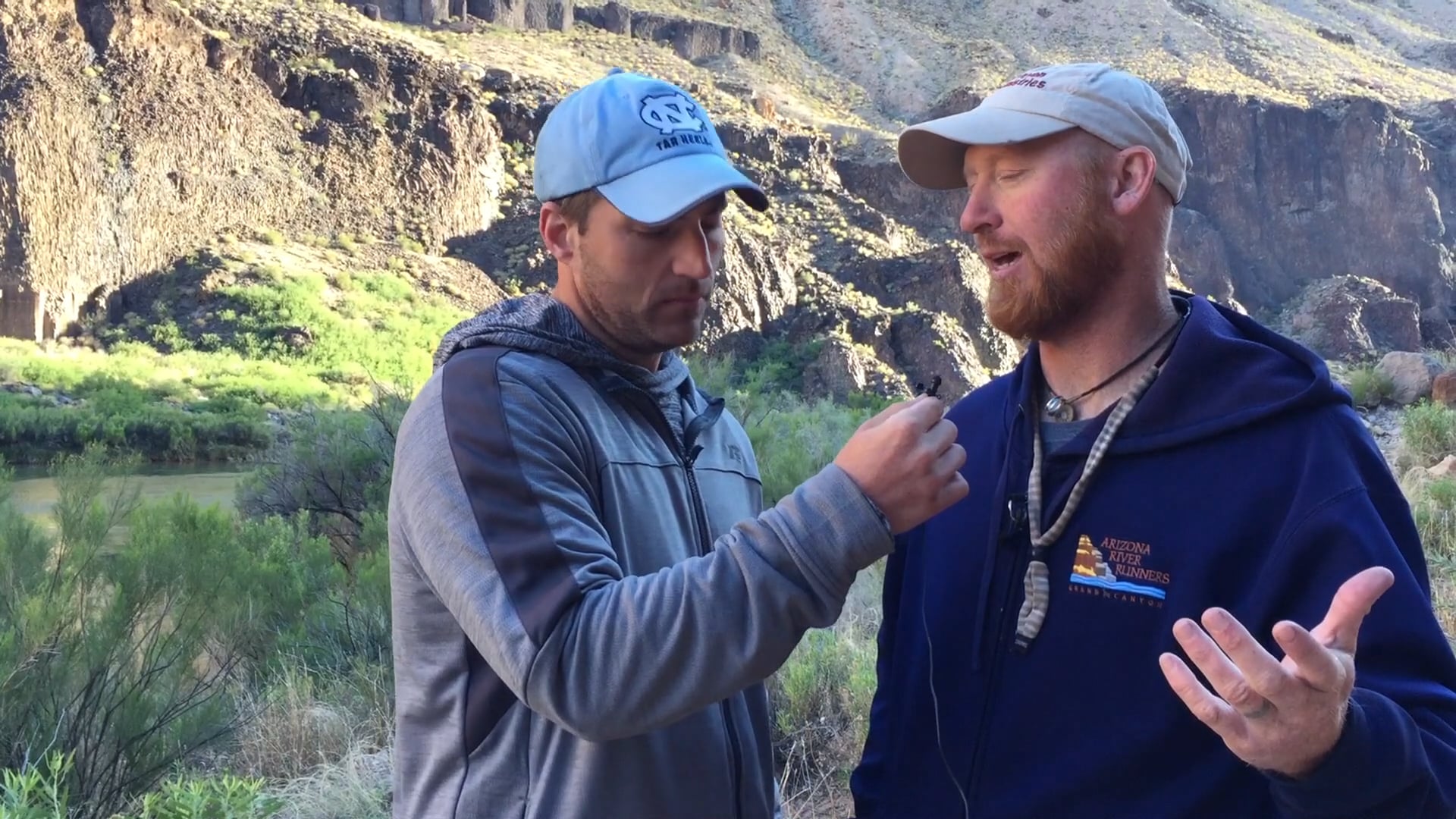 Stewards of God's Creation