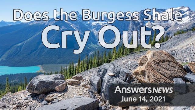 6/14 Does the Burgess Shale Cry Out?