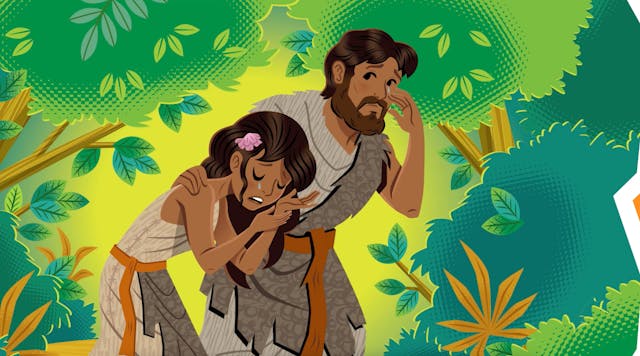 03 Creation and Confusion