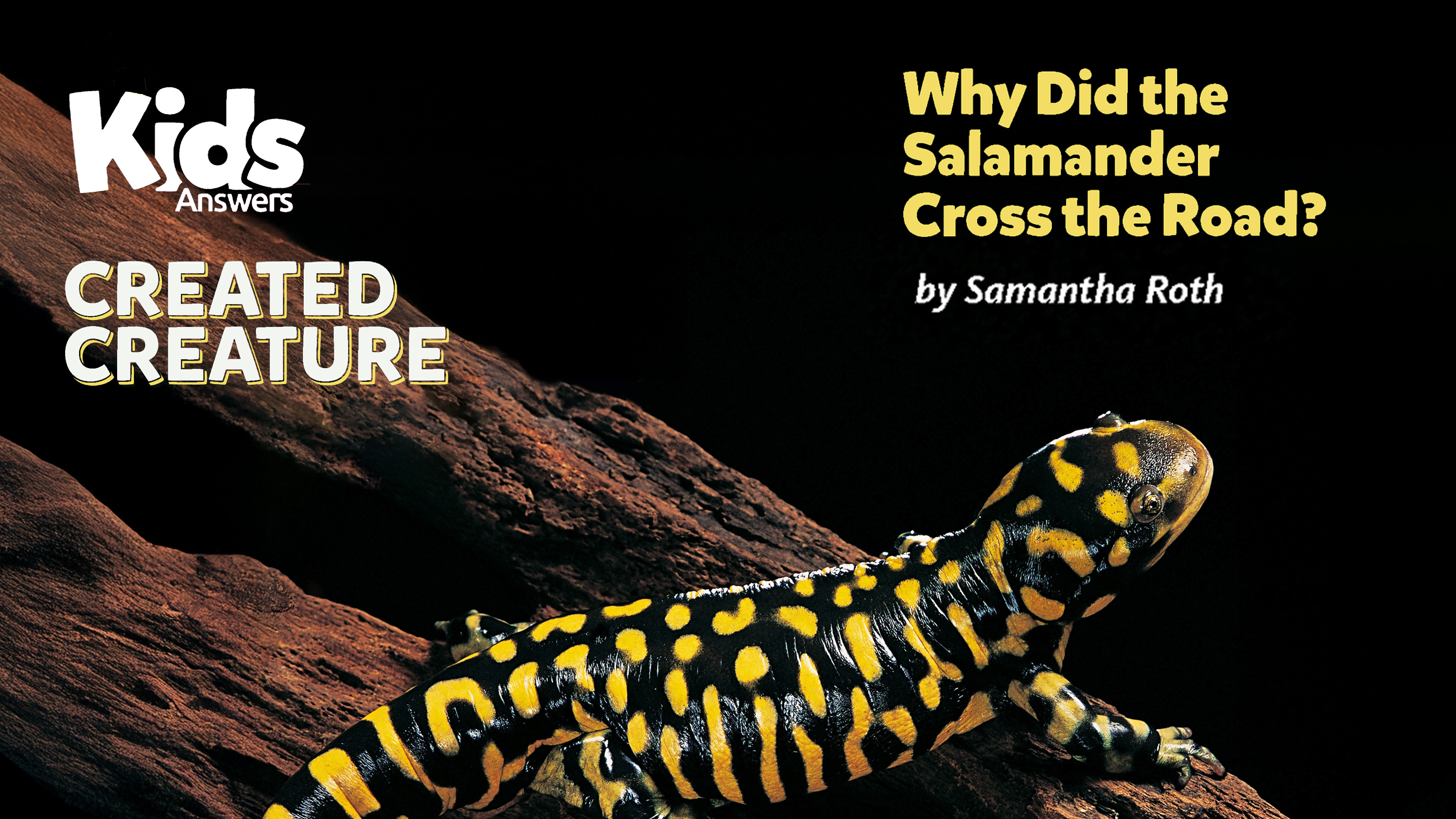 Why Did the Salamander Cross the Road? (Kids Answers Audio Article)