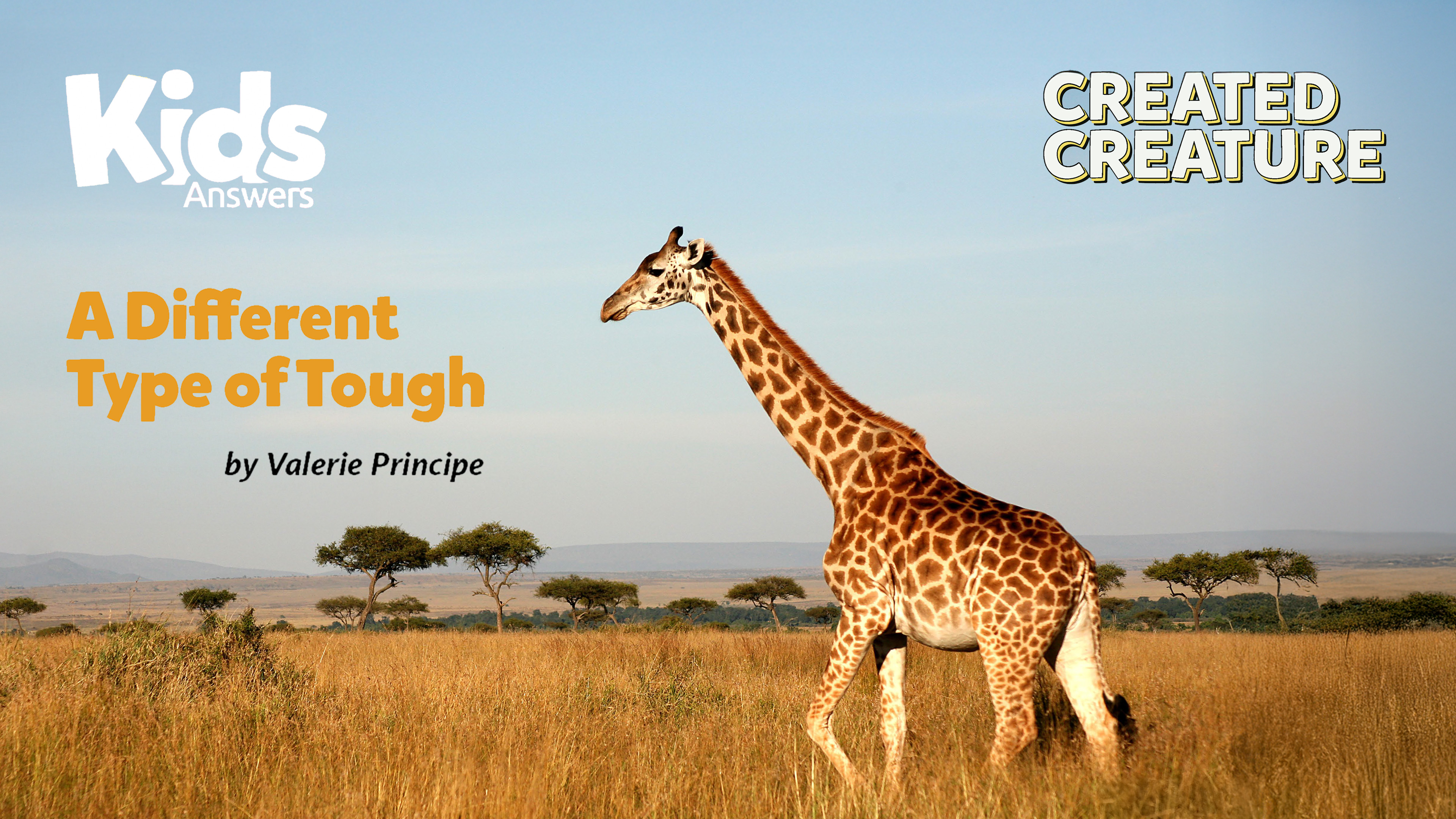 A Different Type of Tough (Kids Answers Audio Article)